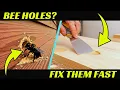 How to Fix and Plug Carpenter Bee Holes in Your Home