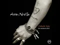 Ron Carter - The Very Thought Of You - from Nature Boy: The Standards Album by Aaron Neville
