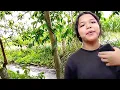 Download Lagu MELIHAT AYAM 🐔 ANTIK D RUMAH TINA KETEMU KULERGANYA D SAMBUT DENGAN RAMAH