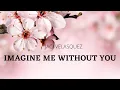 Download Lagu Lyric Video: Imagine Me Without You /Jaci Velasquez