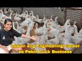 Lagu Engineer Umangat sa Buhay ng mag Fulltime sa Pag- aalaga ng Pekin Duck