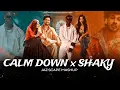 Download Lagu Calm Down x Shaky (JAZ Scape Mashup) • Sanju Rathod • Rema, Selena Gomez