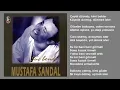 Mustafa Sandal - Bu Kız Beni Görmeli (Orijinal Karaoke)