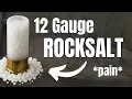 Download Lagu 12ga ROCKSALT: It worked a little too well...