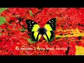 Download Lagu Ed Sheeran ft. Chefin - 2 Step