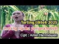 Download Lagu Maling ngaku penjara kebek ⁉️Tarling tiktok 2025 ‼️Cipt : Amin Hermawan