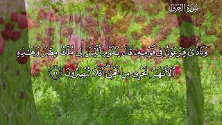 تلاوت سوره الزخرف ادریس ابکر 