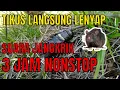 Download Lagu SUARA JANGKRIK PENGUSIR TIKUS 3 JAM NON STOP PALING AMPUH TANPA IKLAN