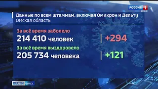 В Омскую область пришел новый штамм коронавируса — «кентавр»