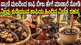 ಪ್ರಾಣಿ ಮಲದಿಂದ ಕಾಫಿ ಬೀಜ ಹೇಗೆ ಮಾಡ್ತಾರೆ ನೋಡಿ ನೀವು ಕುಡಿಯುವ ಕಾಫಿಯ ಹಿಂದಿನ ವಿಚಿತ್ರ ರಹಸ್ಯ Coffee Factory