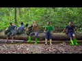 Download Lagu Săn Mật Ong Rừng Già Phần 3 - Bội Thu Trở Về