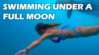 Swimming Under a Full Moon – S3:E15