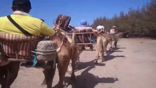 FUERTEVENTURA 2014