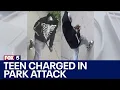 Brooklyn stabbing 15-year-old charged in teen park attack