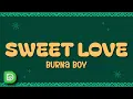 Download Lagu Burna Boy - Sweet Love (Lyrics)