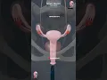 Download Lagu Uterus \u0026 Ovary | like you've never seen it before. ♀️