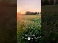 STORY WHATSAPP LAGU 'AFTER SCHOOL' PEMANDANGAN SENJA...