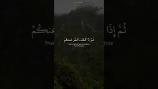 اللهم صل وسلم على سيدنا محمد عدد الرمل والحصى في مستقر الأرضين شرقها وغربها وسهلها وجبالها 