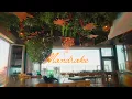 Mandrake Rooftop - Brand