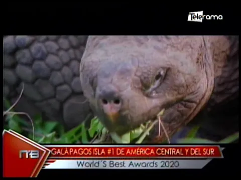 Galápagos Isla #1 de América Central y del Sur Vorld's Best Awards 2020