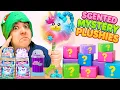 Download Lagu $5 vs $20 Scented Plushies Mystery Boxes