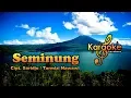Download Lagu Lagu Lampung | Seminung No Vocal (Karaoke)