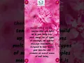 Try the best Couples Massage in Virginia Beach