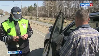 В Омской области увеличилось количество ДТП с участием лосей