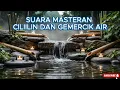 Download Lagu Suara Burung Cililin Dan Gemercik Air Cocok Untuk Masteran Burung Gacor