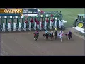 Oaklawn Park February 7 2026 The 34th Running of BAYAKOA STAKES