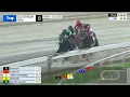 Gulfstream Park March 15 2026 Race 8