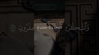 ف اذ ك ر ون ي أ ذ ك ر ك م و اش ك ر وا ل ي و ل ا ت ك ف ر ون قرآن 