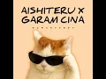 Aishiteru X Garam Cina