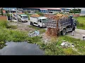 Download Lagu Imprissive Action! Skill Start Landfilling Huge Flood Regoin by 5t Trucks \u0026 D2 Dozer pushing