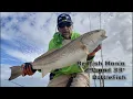 Redfish Mania