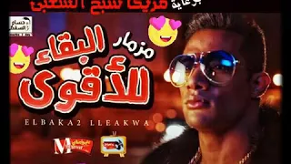 المزمار المعدل ال مكسر شوارع مصر  البقاء للاقوى   دندنها