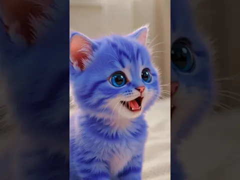 pa 😺pa 😺💤 #funny #cats #cute #cutebaby #cat #trendingshorts #shortvideo #shortvideo #youtube #trend
