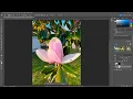 Download Lagu Generative Fill in Photoshop