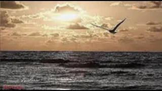 خالد الصحافة طمبور   عودا جميل بعد الرحيل دندنها