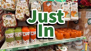 Dollar Tree 2026 NEW Finds this week