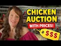 Gorgeous Roosters Hens Inside the Chicken Auction