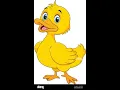 Draw the picture of Duck