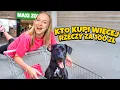 Download Lagu KTO KUPI WIĘCEJ RZECZY DLA PSA WYGRYWA!