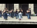 Download Lagu Dansa-----cicak di dinding-----