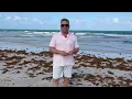Science 4 Everyone Why is there so much brown seaweed on the beach NBC4 Washington