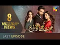 Download Lagu Mohabbat Tujhe Alvida | Last Episode | Eng Sub | Digitally Powered By Master Paints | 13 Jan 2021