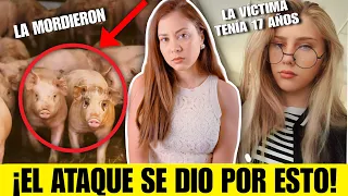 Una RUSA fue DEVORADA POR CERDOS | ¡Lo que descubrieron es ATERRADOR!