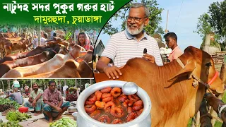 1368- অসাধারন একটি গ্রামীন হাট, লাল টুকটুকে গরুর মেলা। র.ই মানিক R.I Manik.Chitrapuri Krishichitra