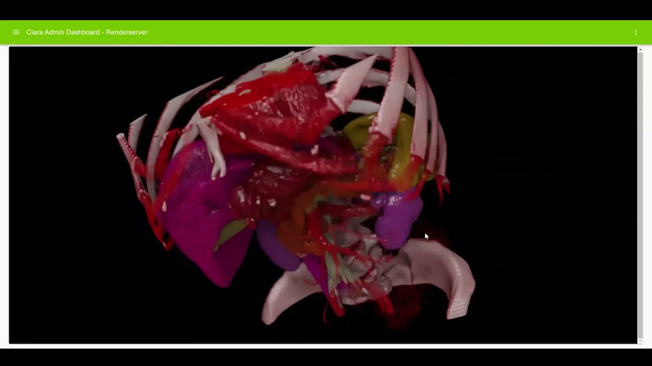 NVIDIA Software demo video