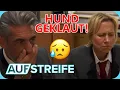 Download Lagu Schock für Familie: Hund spurlos aus dem Garten verschwunden! | Auf Streife | SAT.1